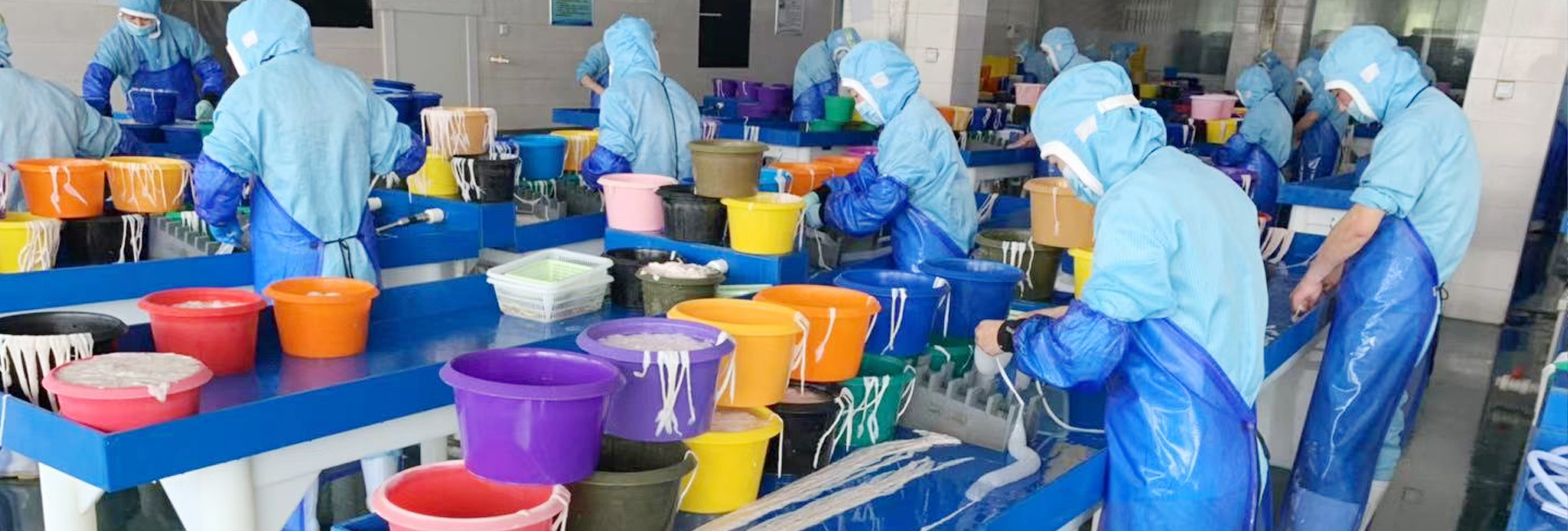 九游会·J9 - 中国官方网站|真人游戏第一品牌